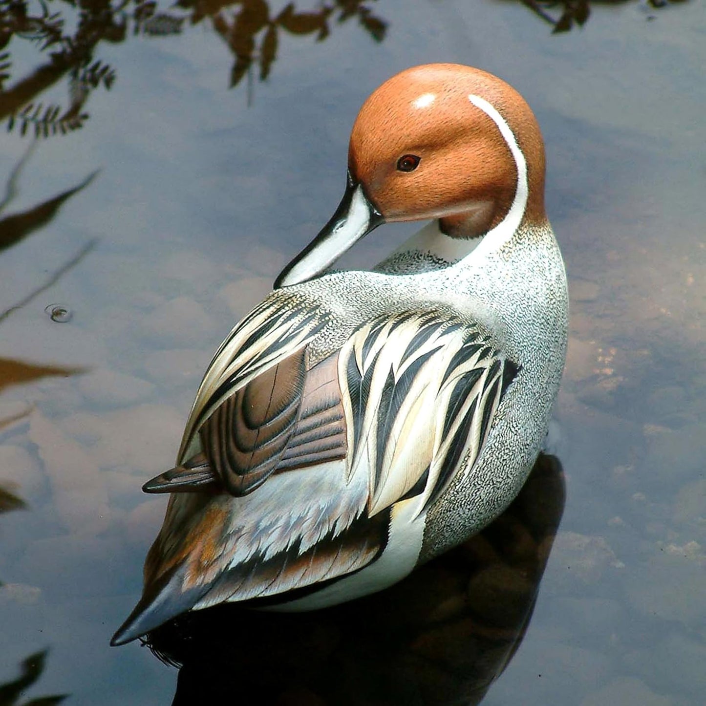 NOVICA Brown Animal Themed Albesia Wood Sculpture, 4.9" 'Posing Pintail Duck'